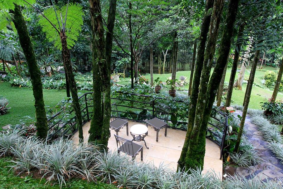 The Michael Resorts-Landscape