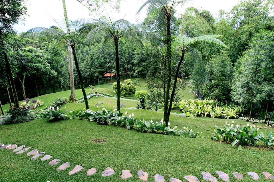 The Michael Resorts-Landscape2