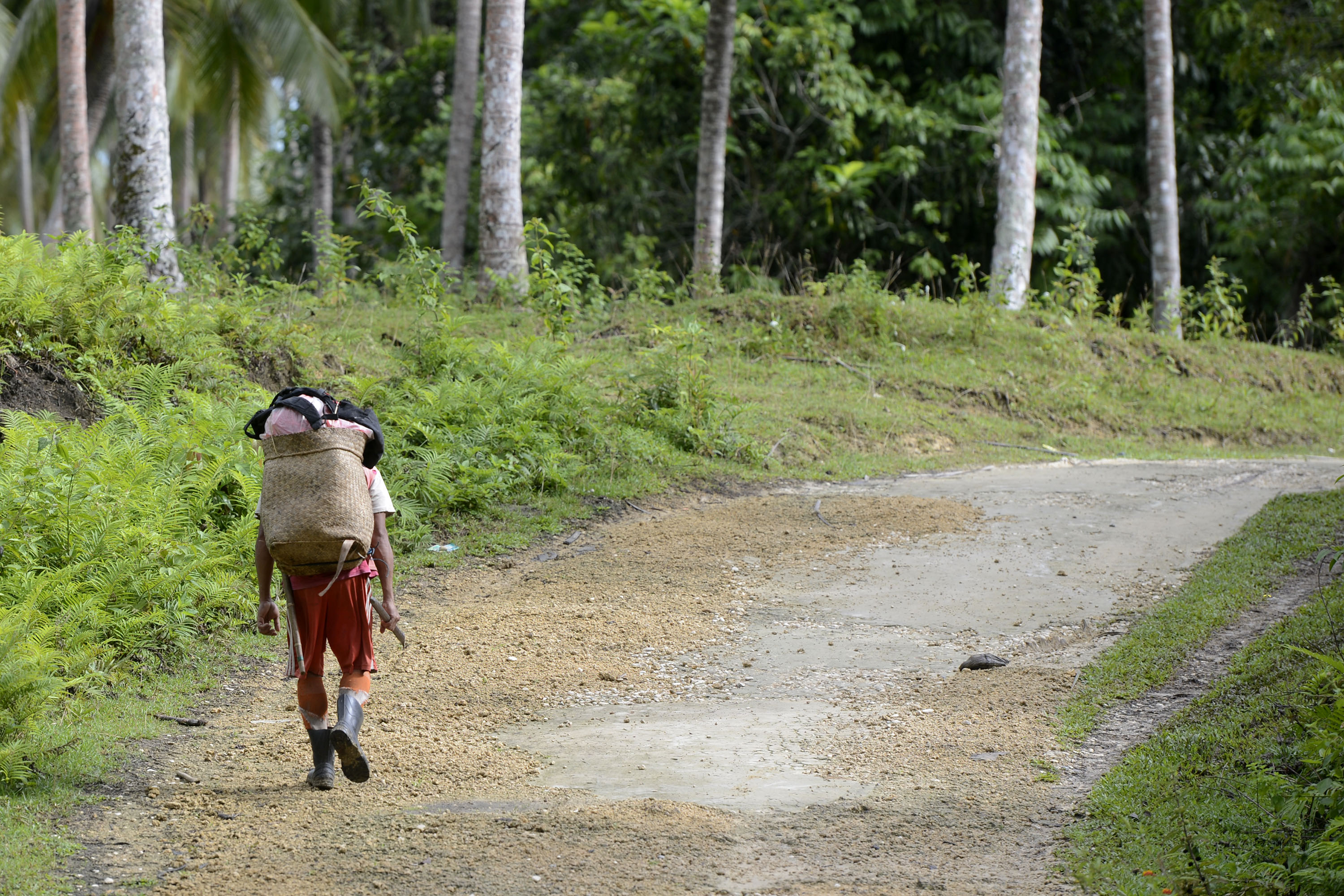 Seorang warga suku dayak membawa keranjang di desa Teluk Sumbang, Biduk-Biduk, Berau, Kaltim.