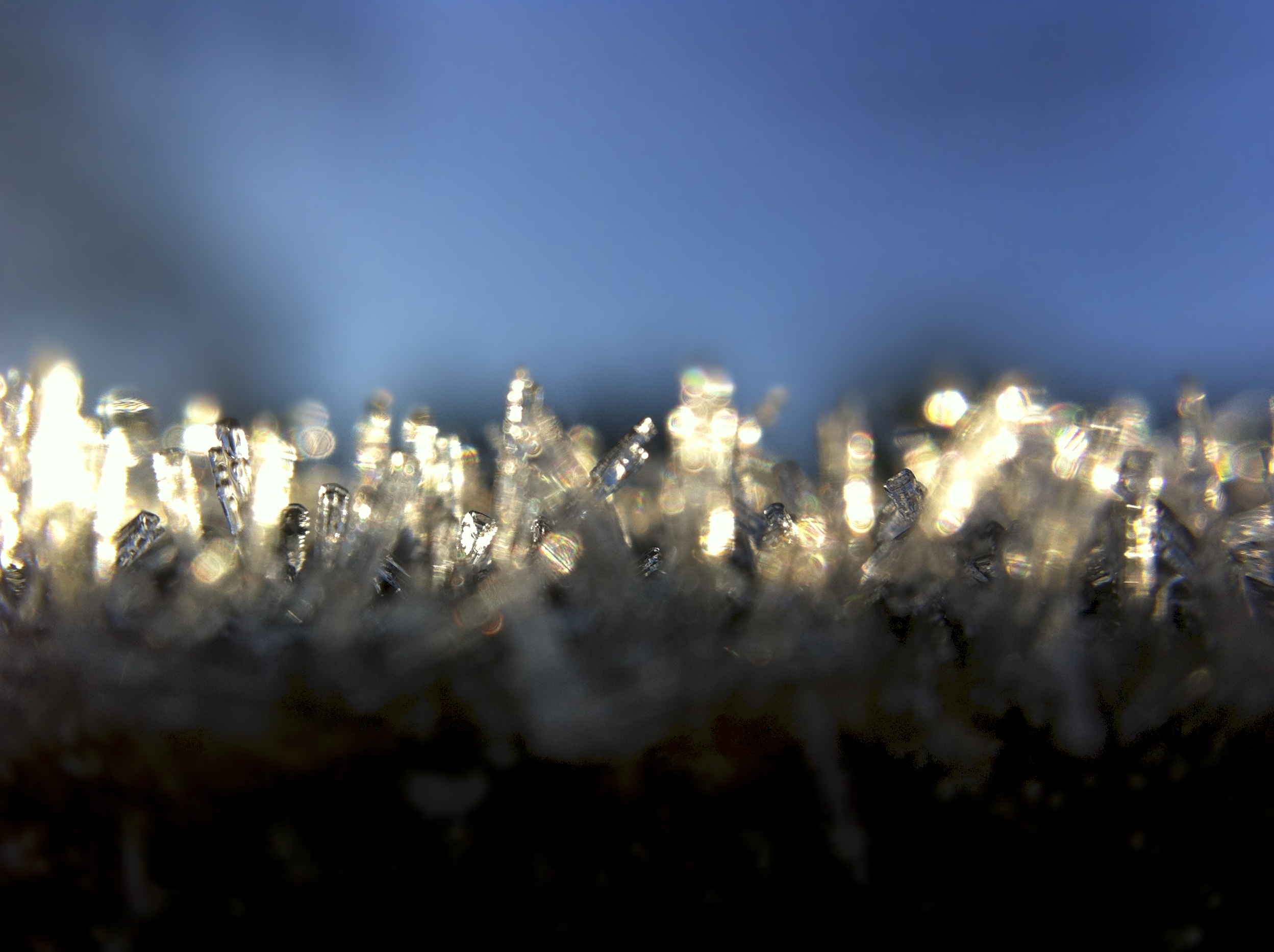 Ice Crystals In Morning Sunlight. Flickr - A Guy Taking Pictures.