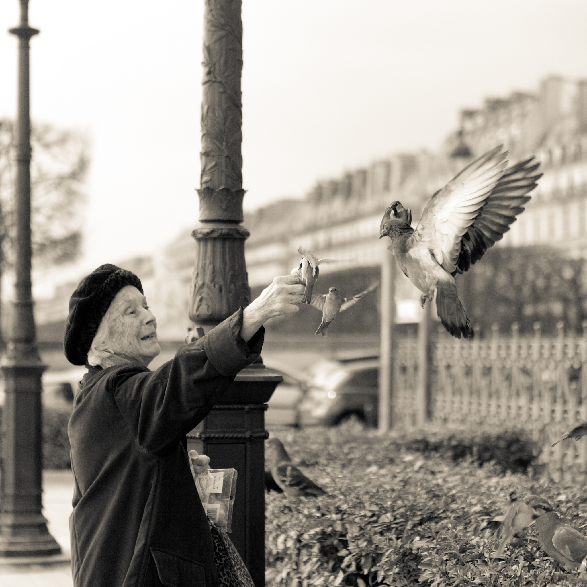Lady Feeding Birds Outside Louvre. Flickr - Derek Key.