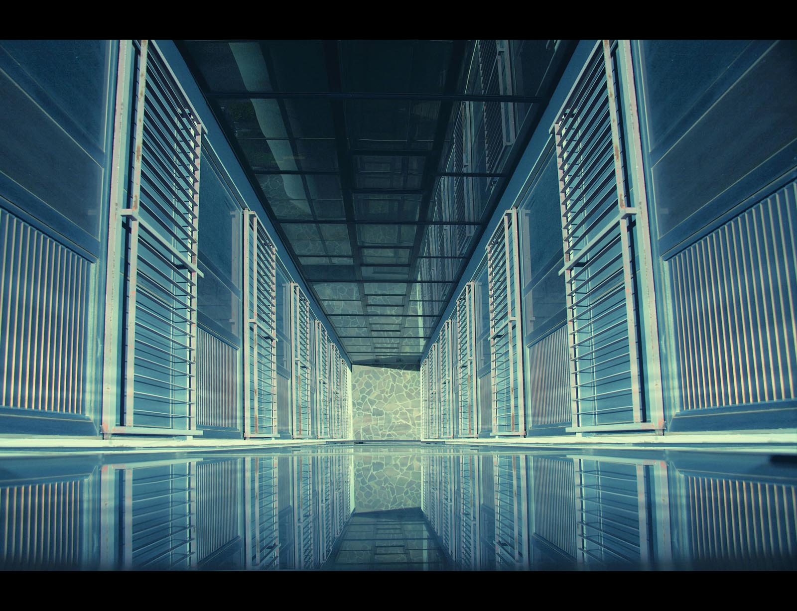 Mirroring - the Matrix. Flickr - RaSeLaSeD - Il Pinguino.