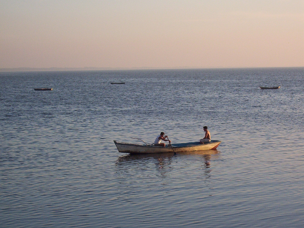 Flickr - Marina Carvalho.