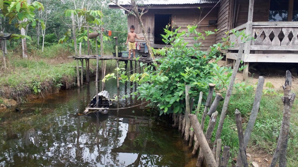 Dusun Remiang6