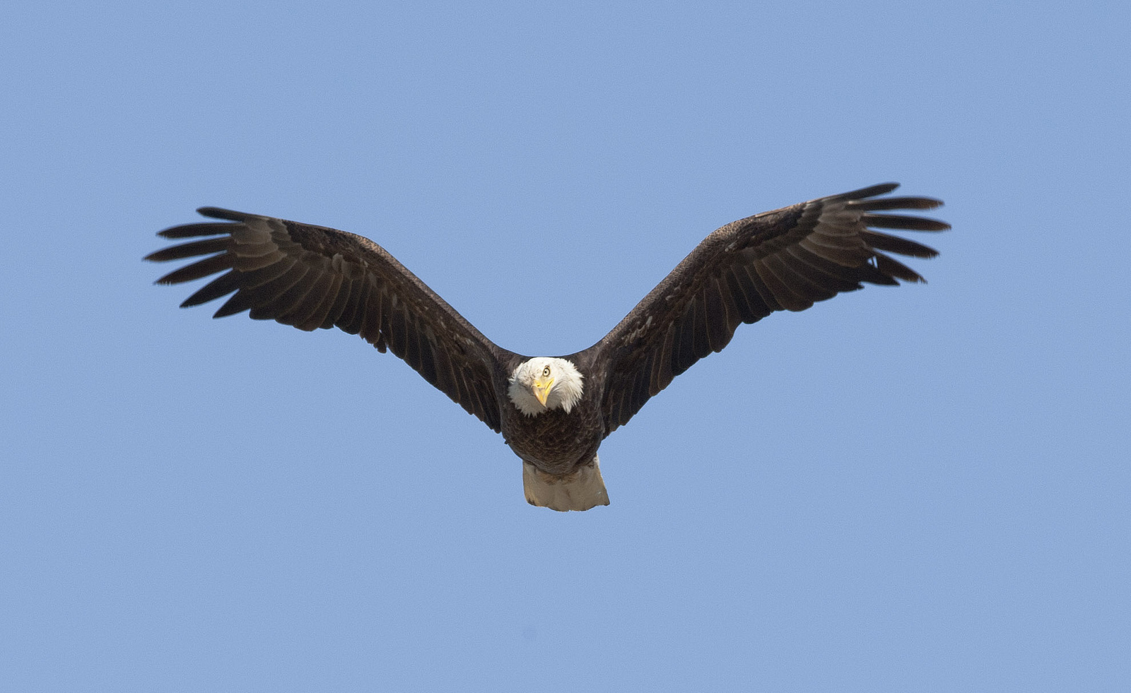 The lands of Benton Lake National Wildlife Refuge were established to protect and provide habitat for migratory birds that cross State lines and international borders and are by law a Federal trust responsibility. Credit: Neil Mishler/USFWS.