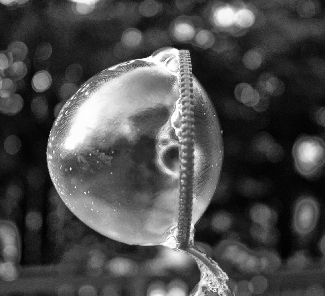 Frozen Bubble. Flickr - Forsaken Fotos.