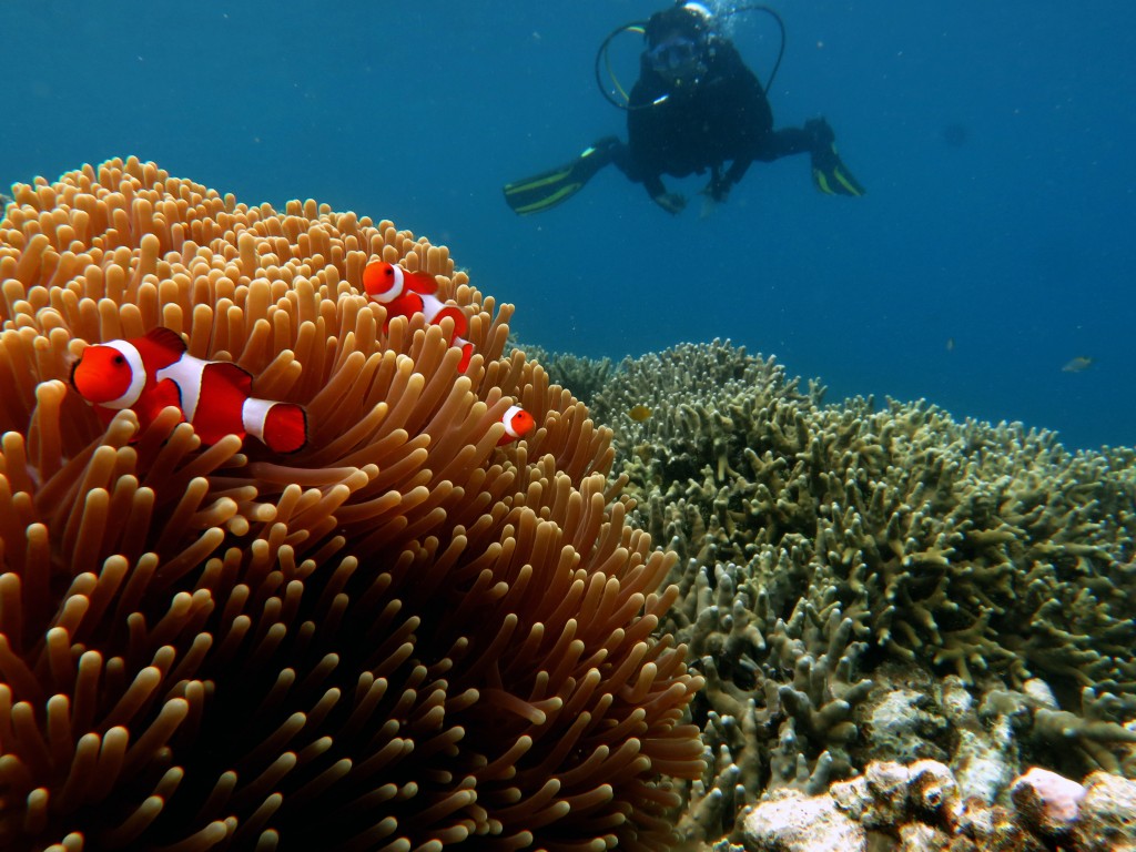 Diving