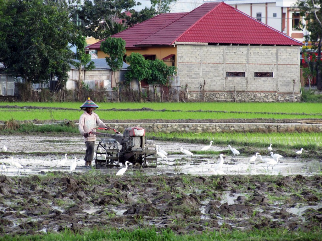 JalanBali1