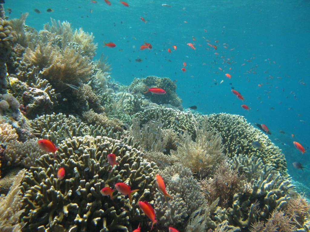 eksplore spot dive 108