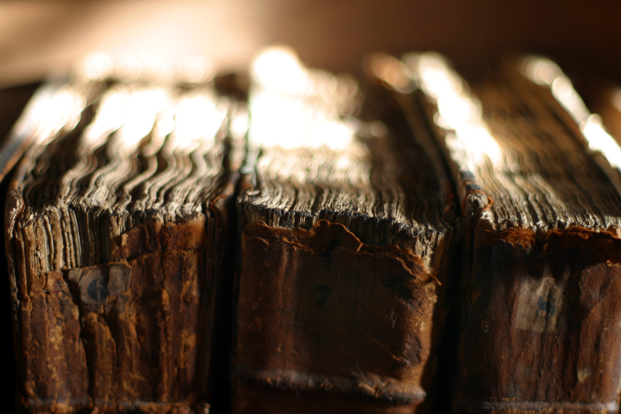 Merton College Library, Oxford, UK. Flickr - Tom 7.