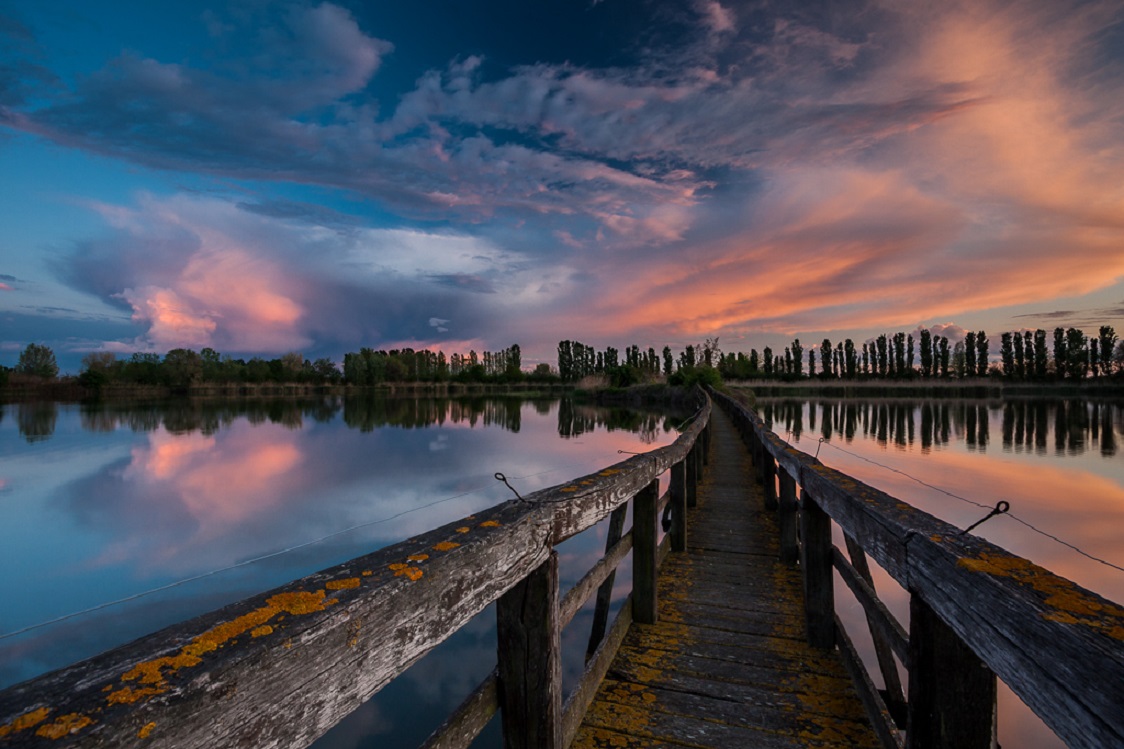 Flickr - Domenico Salvagnin.