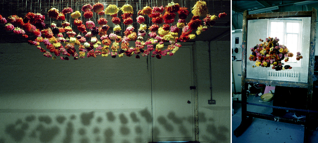 Dahlia Series Installation (2003) - TIC Space, Newcastle. Materials: Dahlias, copper wire.