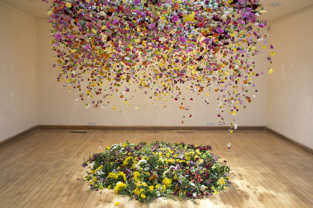 The Hated Flower Installation - Solo Exhibition, Coningsby Gallery, London (2014). Materials: Chrysanthemum, Carnations, coppper wire.