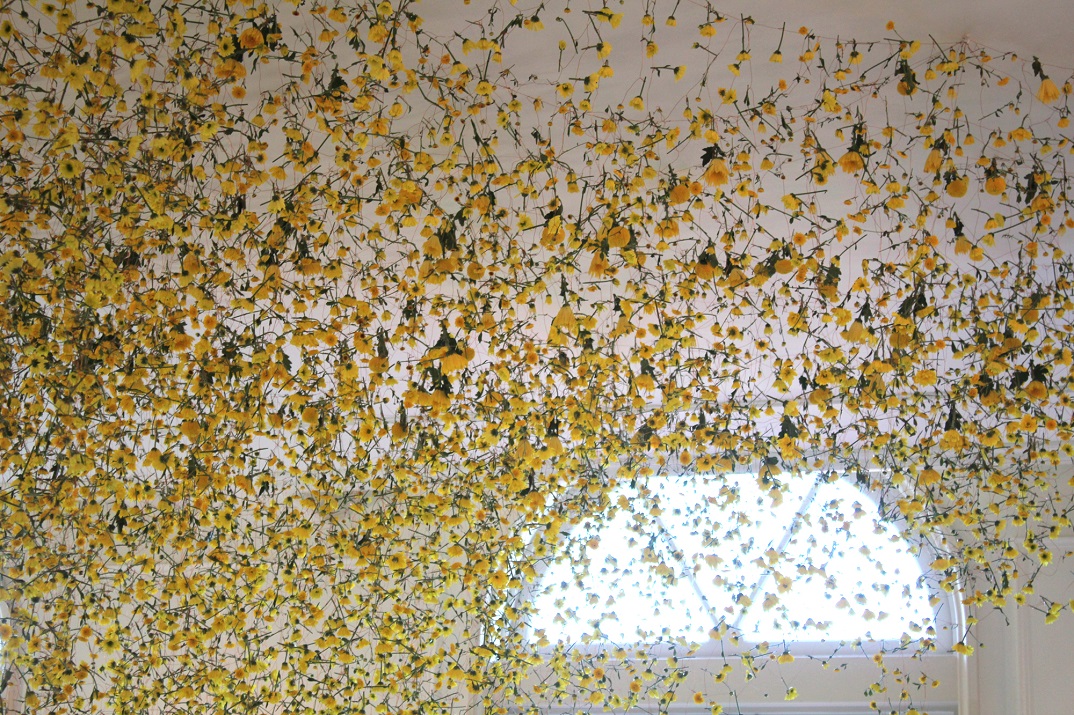 The Yellow Flower Installation - Sasebo, Japan (2014). Materials: Chrysanthemum, copper wire.