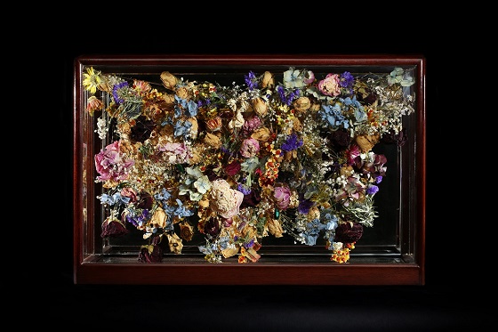 Buprestidae Sculpture (2014). Price: £3600. Dimensions: L:63 H:41 W:23cm. Materials: Victorian case, Buprestidae, Elateridae, Gypsophila, Peony, Rose, Celastrus, Hydrangea, Statis, Rodanthe, Eringium, copper wire. 