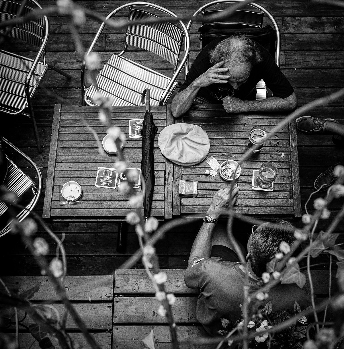 Flickr - Old Friends - John Salvino